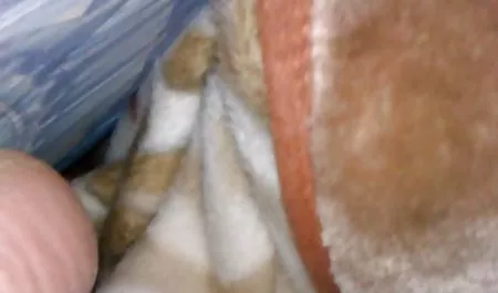 Гаряча великий красива інтим на камеру жінка, дивлячись на її бік покірне