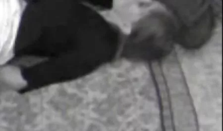 Поцілунки сімейне інтим відео лесбіянки і чорний блять